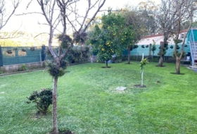 Cangas 300&nbsp;m² 