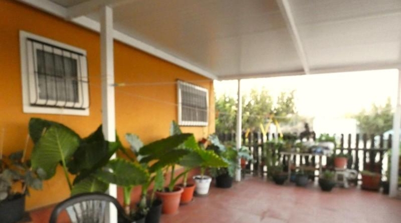 Murcia - Molina de Segura - 6000m2