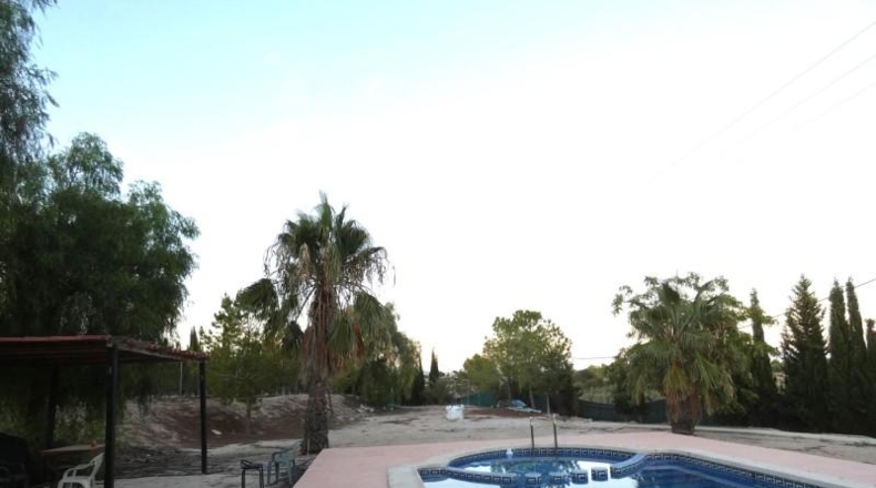 Murcia - Molina de Segura - 6000m2