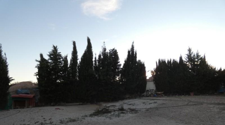 Murcia - Molina de Segura - 6000m2