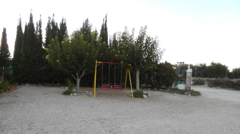 Murcia - Molina de Segura - 6000m2