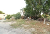 Casa de camp amb terreny en venda a la España, Elx, ref.: TR164979 foto