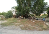 Casa de camp amb terreny en venda a la España, Elx, ref.: TR164979 foto