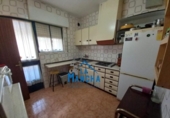 Casa de campo con terreno en venta en la España, Albacete, ref: TR192346 foto