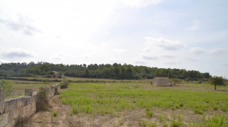 Islas Baleares - Sineu - 14591m2