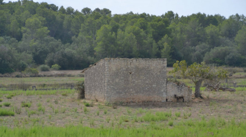 Islas Baleares - Sineu - 14591m2