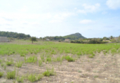 Xalet independent amb terreny en venda a la España, Sineu, ref.: TR136651 foto