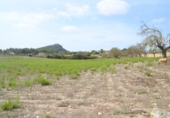Xalet independent amb terreny en venda a la España, Sineu, ref.: TR136651 foto