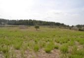 Xalet independent amb terreny en venda a la España, Sineu, ref.: TR136651 foto