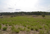 Xalet independent amb terreny en venda a la España, Sineu, ref.: TR136651 foto