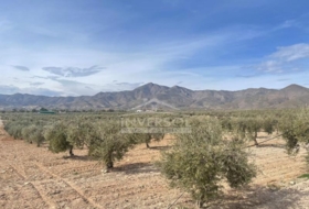 Uleila del Campo 78000&nbsp;m² 
