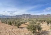 Xalet independent amb terreny en venda a la España, Uleila del Campo, ref.: TR175566 foto