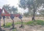 Xalet independent amb terreny en venda a la España, Uleila del Campo, ref.: TR175566 foto