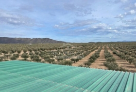 Uleila del Campo 78000&nbsp;m² 