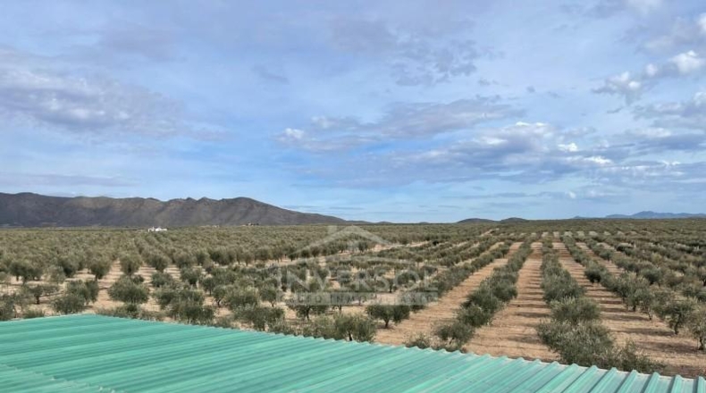 Almería - Uleila del Campo - 78000m2