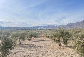 Uleila del Campo 78000&nbsp;m² 