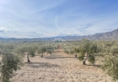 Xalet independent amb terreny en venda a la España, Uleila del Campo, ref.: TR175566 foto