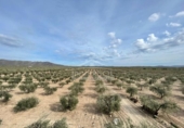 Xalet independent amb terreny en venda a la España, Uleila del Campo, ref.: TR175566 foto