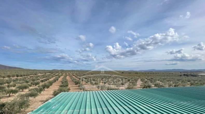 Almería - Uleila del Campo - 78000m2