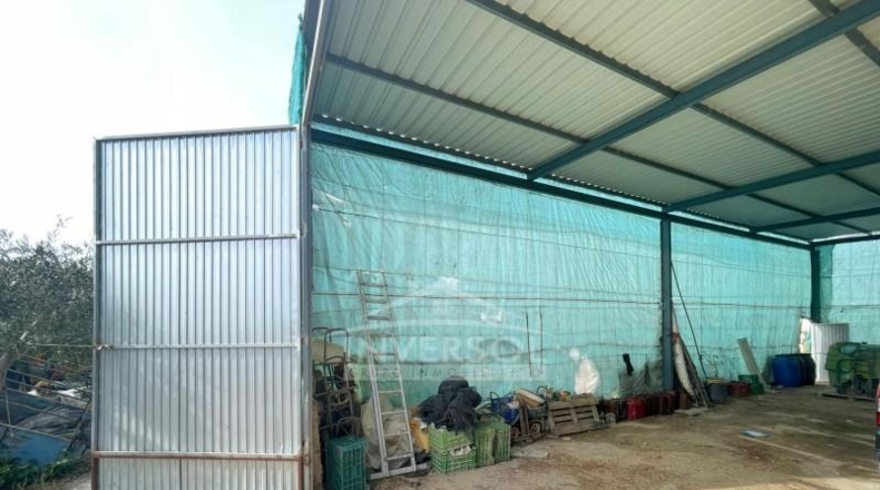 Almería - Uleila del Campo - 78000m2