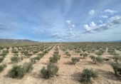 Xalet independent amb terreny en venda a la España, Uleila del Campo, ref.: TR175566 foto