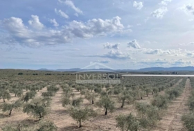 Uleila del Campo 78000&nbsp;m² 