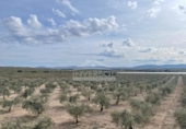 Xalet independent amb terreny en venda a la España, Uleila del Campo, ref.: TR175566 foto