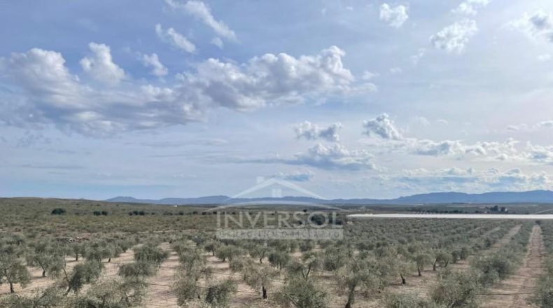 Almería - Uleila del Campo - 78000m2