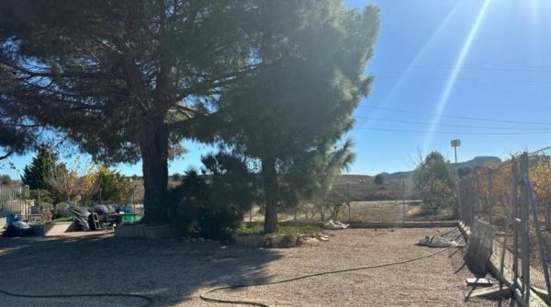Alicante - Monóvar - 25000m2