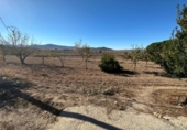 Chalet independiente con terreno en venta en la España, Monóvar, ref: TR152896 foto