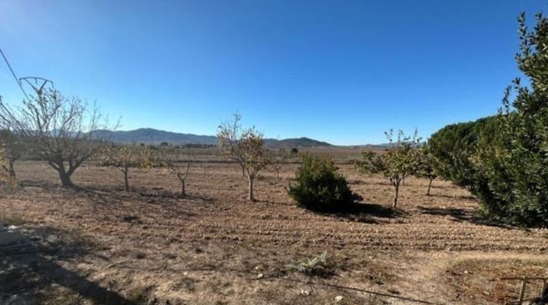 Alicante - Monóvar - 25000m2