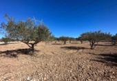 Chalet independiente con terreno en venta en la España, Monóvar, ref: TR152896 foto