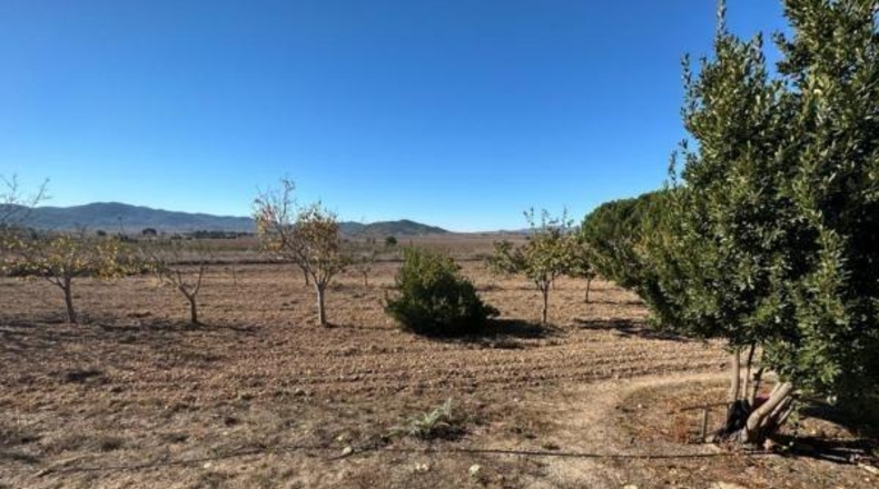 Alicante - Monóvar - 25000m2