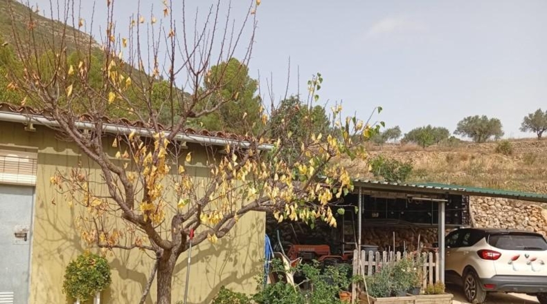 Alicante - Xaló - 5551m2