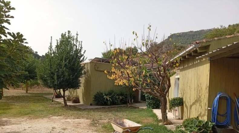 Alicante - Xaló - 5551m2