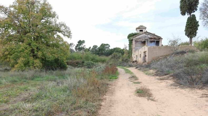 Cadiz - Cádiz - 32556m2