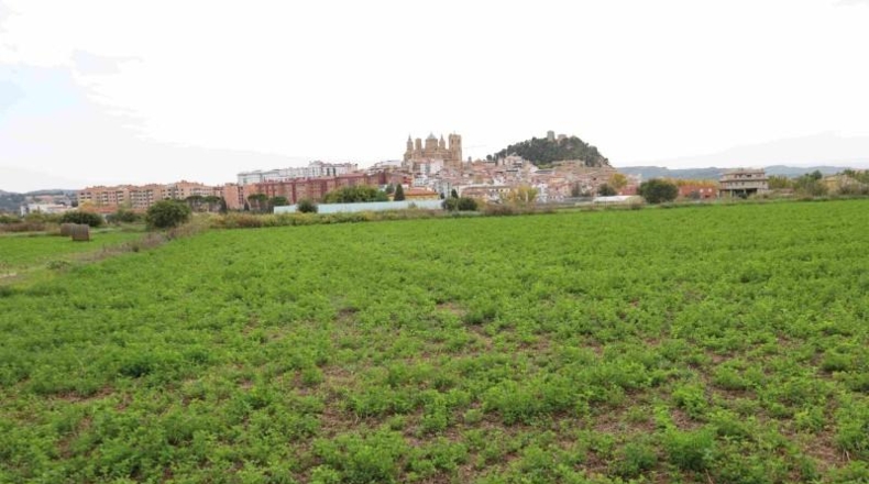 Cadiz - Cádiz - 32556m2