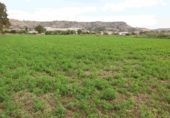 Land suitable for development for sale on España, Alcañiz, ref: TR361891 photo