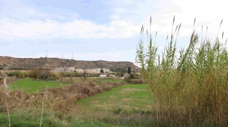 Cadiz - Cádiz - 32556m2