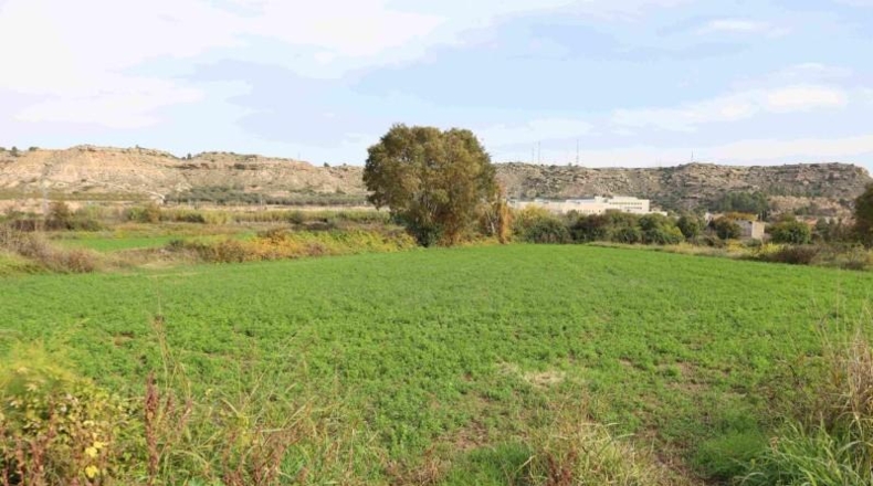 Cadiz - Cádiz - 32556m2