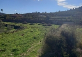 Non-developable land for sale on España, Benitachell, ref: TR116825 photo