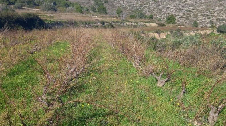 Alicante - Benitachell - 13800m2