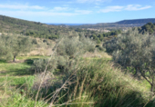 Non-developable land for sale on España, Benitachell, ref: TR116825 photo