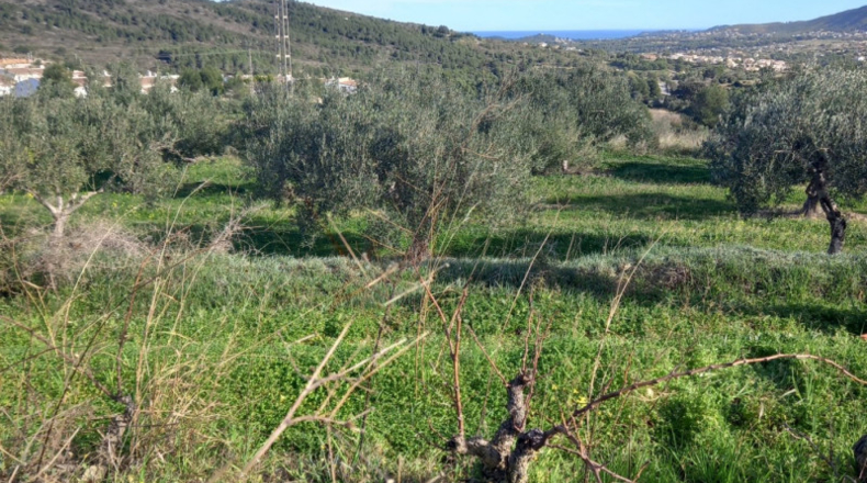 Alicante - Benitachell - 13800m2