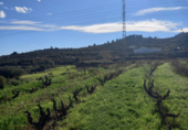 Non-developable land for sale on España, Benitachell, ref: TR116825 photo