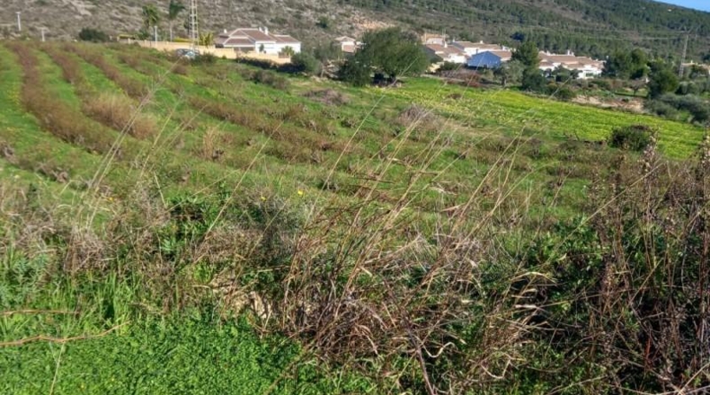 Alicante - Benitachell - 13800m2