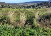 Non-developable land for sale on España, Benitachell, ref: TR116825 photo