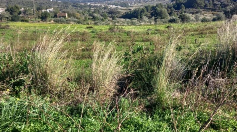 Alicante - Benitachell - 13800m2