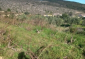 Non-developable land for sale on España, Benitachell, ref: TR116825 photo