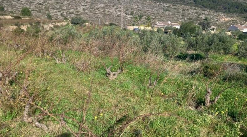 Alicante - Benitachell - 13800m2